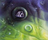 Wasser-Quelle-des-Lebens-Teil-III