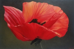 fragiles-Rot