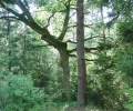 sommertag-07b-10
