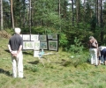 sommertag-07b-13