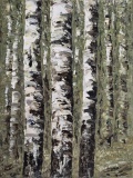 Birken-II