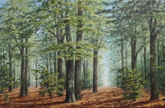 Zauberwald