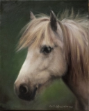 Petur