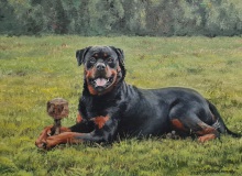 Rottweiler