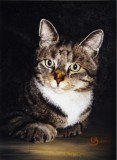 Weigel