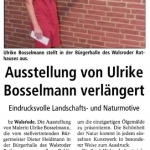 Ausstellung Bürgerhalle Walsrode 2013