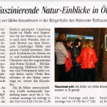 Ausstellungseröffnung Bürgerhalle Walsrode 2013
