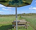 dsc00490_0